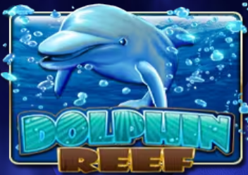 Dolphin Reef