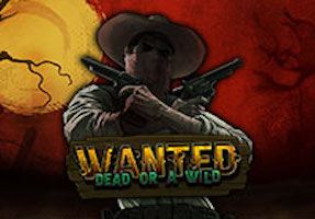 Wanted Dead or A Wild