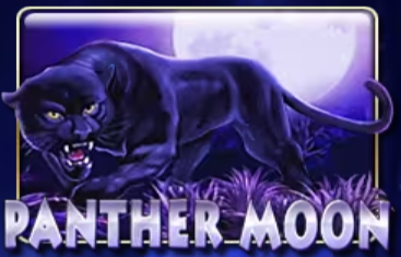Panther Moon