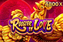 Rooster in Love